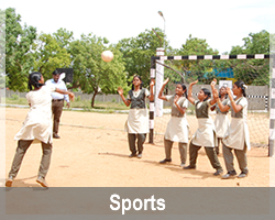 Sports