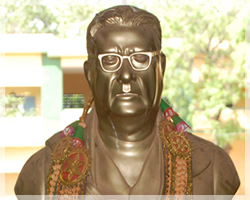 Tamilnadu School Curriculam HSC groups
